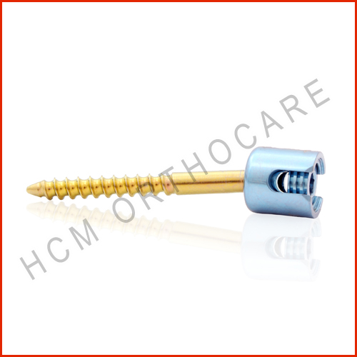 Cervical Screw